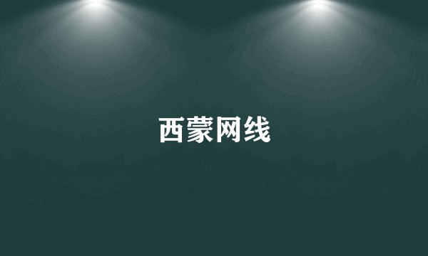 西蒙网线