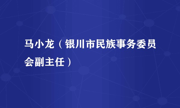 马小龙（银川市民族事务委员会副主任）
