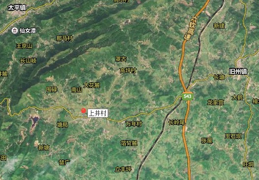 上井村（广西壮族自治区灵山县旧州镇下辖村）