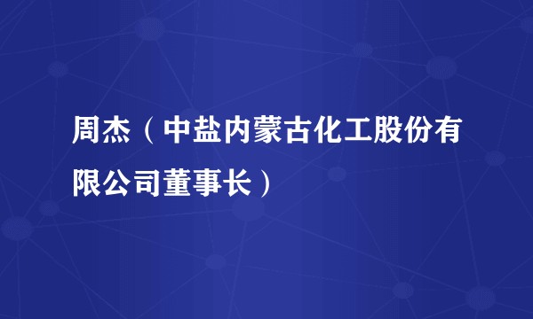 周杰（中盐内蒙古化工股份有限公司董事长）