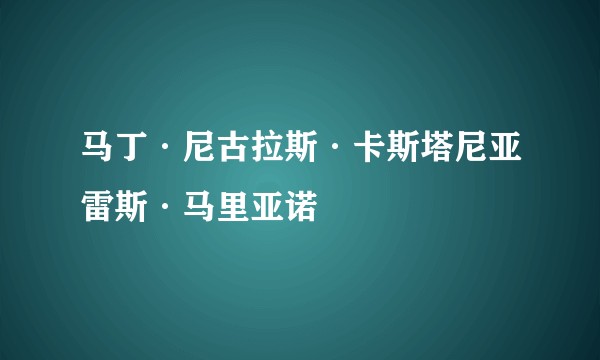 马丁·尼古拉斯·卡斯塔尼亚雷斯·马里亚诺
