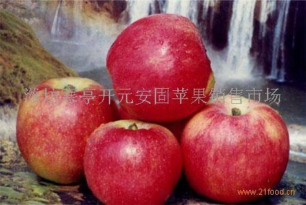 藤木一号