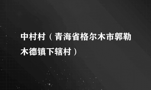 中村村（青海省格尔木市郭勒木德镇下辖村）