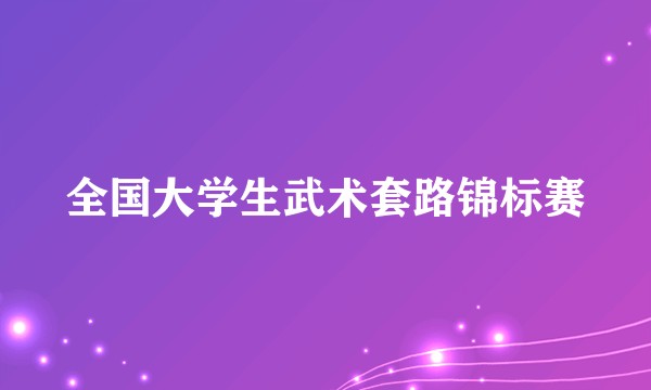 全国大学生武术套路锦标赛