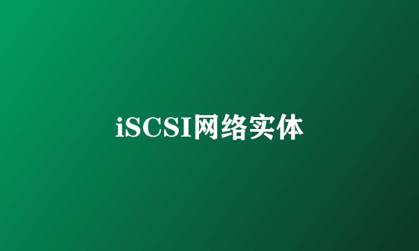 iSCSI网络实体