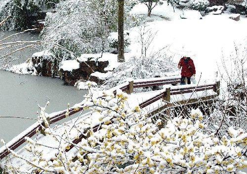 暴雪(自然天气现象)