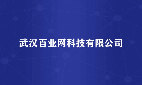 武汉百业网科技有限公司