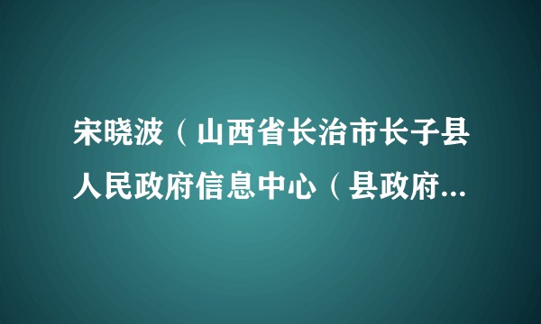 宋晓波(山西省长治市长子县人民政府信息中心(县政府金融工作服务中心、县数字政府服务中心)副主任)