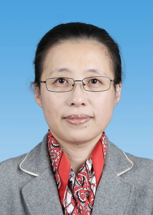 李岚(上海市宝山区政协副主席,区财政局局长)