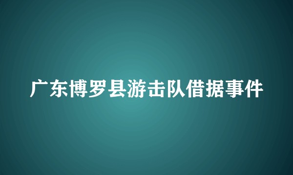 广东博罗县游击队借据事件