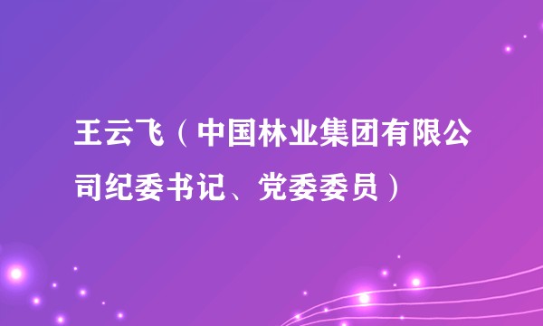 王云飞（中国林业集团有限公司纪委书记、党委委员）