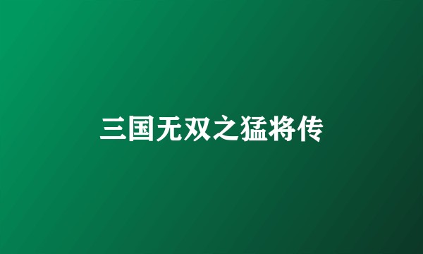 三国无双之猛将传