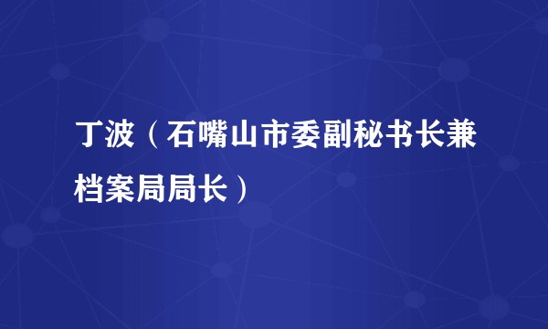 丁波（石嘴山市委副秘书长兼档案局局长）