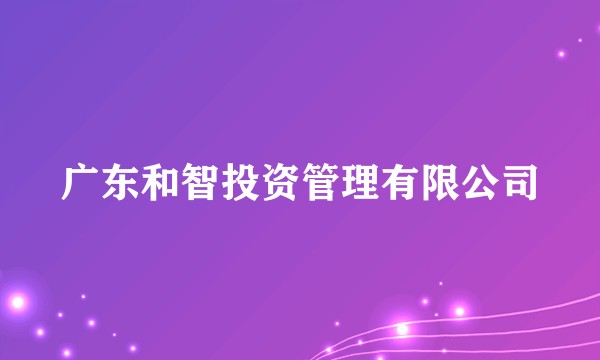 广东和智投资管理有限公司