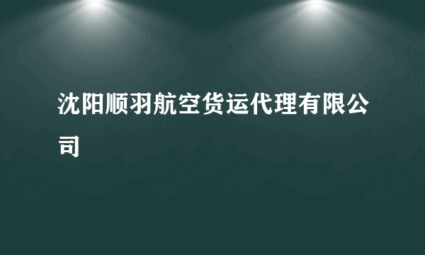 沈阳顺羽航空货运代理有限公司