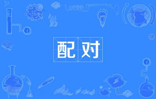 配对（网络流行词、ACGN同人圈用语）