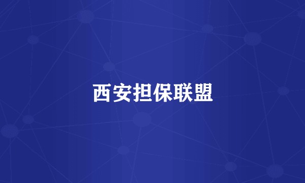 西安担保联盟