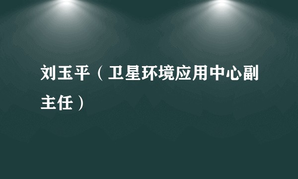 刘玉平（卫星环境应用中心副主任）