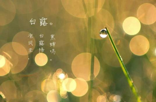 白露（二十四节气之一）