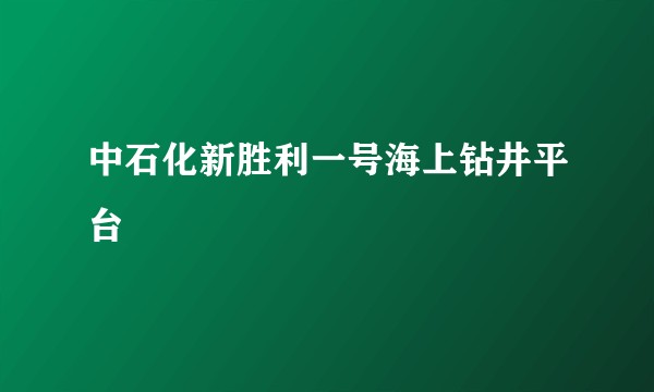 中石化新胜利一号海上钻井平台