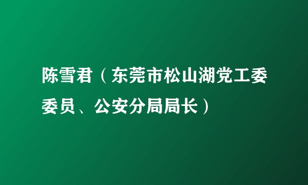 陈雪君（东莞市松山湖党工委委员、公安分局局长）