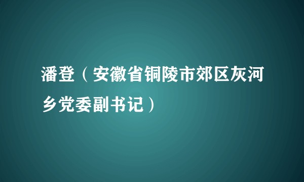 潘登（安徽省铜陵市郊区灰河乡党委副书记）