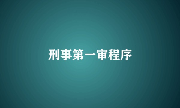 刑事第一审程序