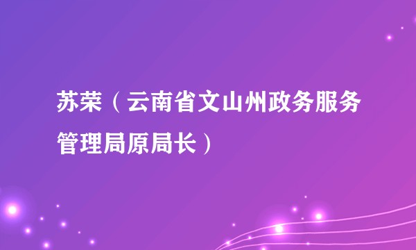 苏荣（云南省文山州政务服务管理局原局长）