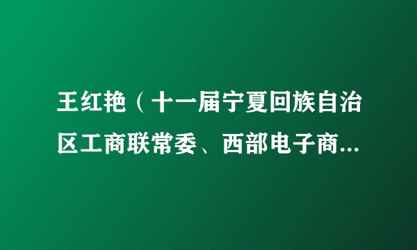 王红艳（十一届宁夏回族自治区工商联常委、西部电子商务股份有限公司董事长）