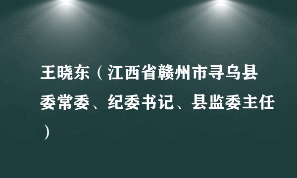 王晓东（江西省赣州市寻乌县委常委、纪委书记、县监委主任）
