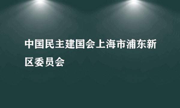 中国民主建国会上海市浦东新区委员会