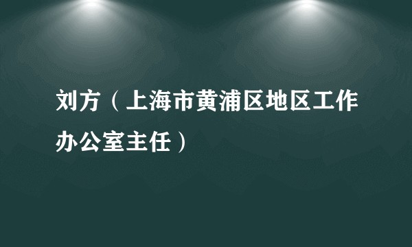 刘方（上海市黄浦区地区工作办公室主任）