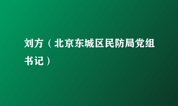 刘方（北京东城区民防局党组书记）
