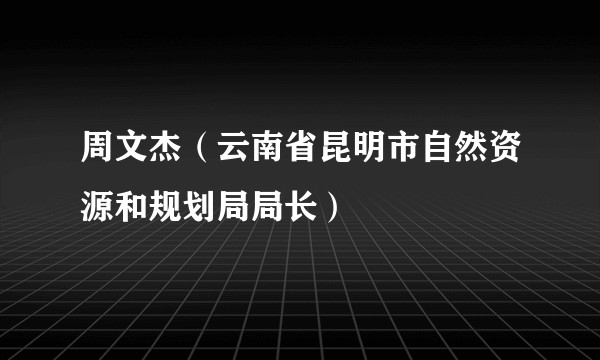 周文杰（云南省昆明市自然资源和规划局局长）