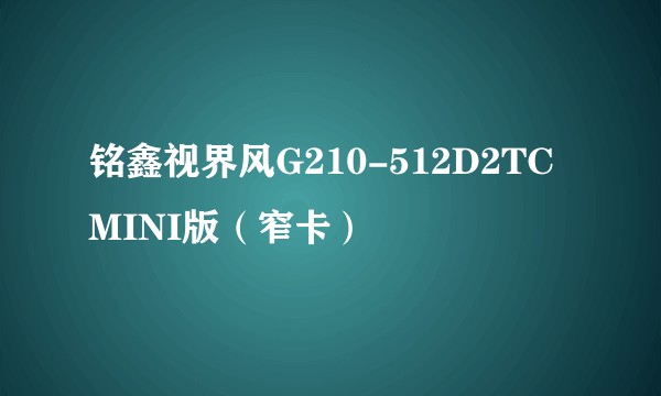 铭鑫视界风G210-512D2TC MINI版（窄卡）