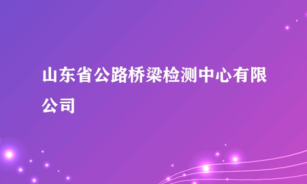 山东省公路桥梁检测中心有限公司