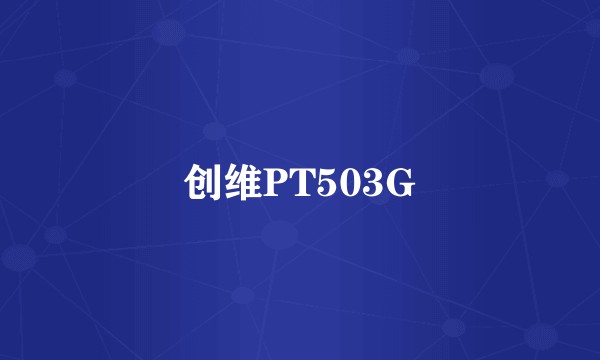 创维PT503G
