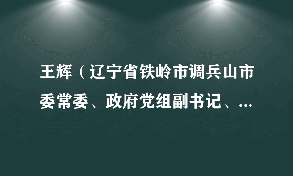 王辉（辽宁省铁岭市调兵山市委常委、政府党组副书记、常务副市长）