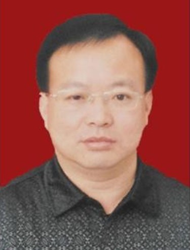 吴彬(安徽省颍上县人民政府副县长)