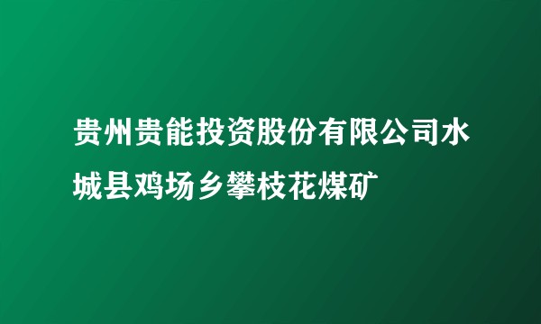 贵州贵能投资股份有限公司水城县鸡场乡攀枝花煤矿