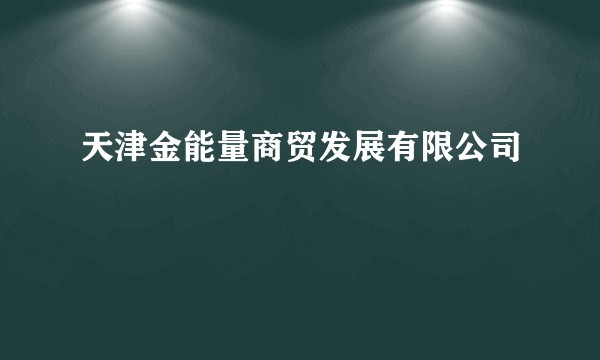 天津金能量商贸发展有限公司