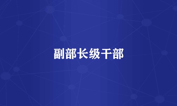 副部长级干部