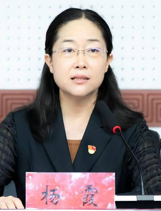杨霞（河南科技大学党委副书记、工会主席）