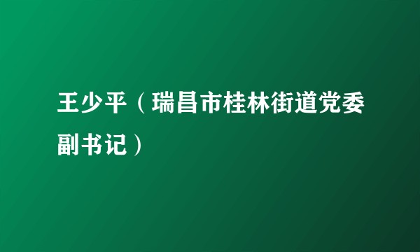 王少平（瑞昌市桂林街道党委副书记）