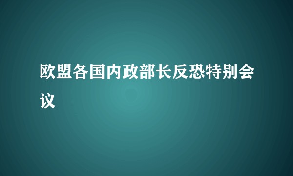 欧盟各国内政部长反恐特别会议