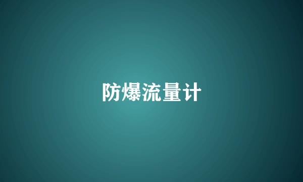 防爆流量计