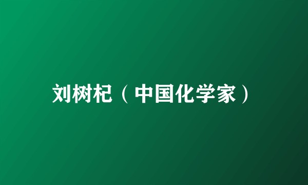 刘树杞（中国化学家）