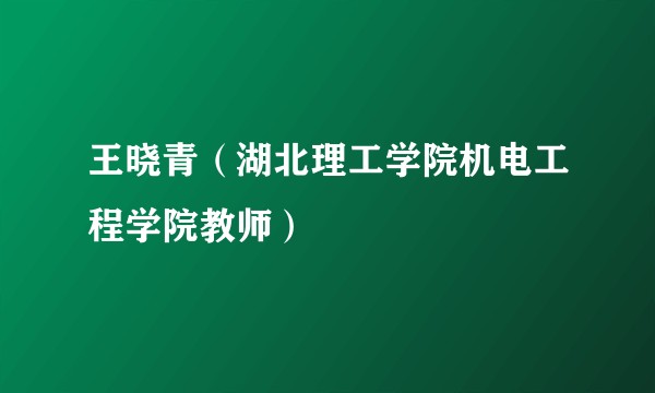 王晓青（湖北理工学院机电工程学院教师）