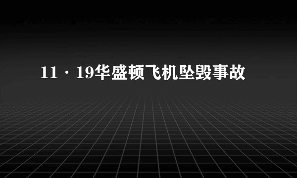 11·19华盛顿飞机坠毁事故