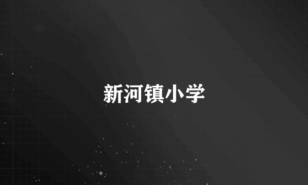 新河镇小学